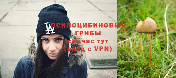мяу мяу кристалл Горно-Алтайск