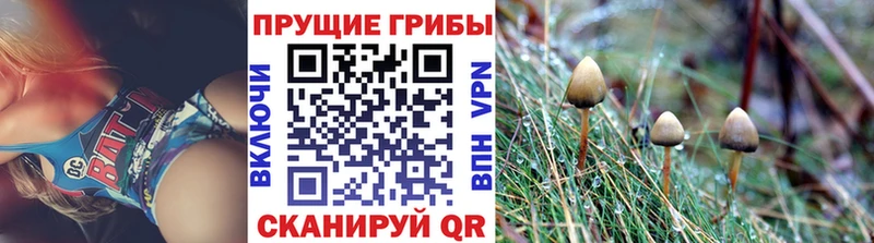 Галлюциногенные грибы прущие грибы  Нефтекумск 