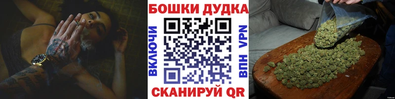Шишки марихуана планчик  сколько стоит  Нефтекумск 
